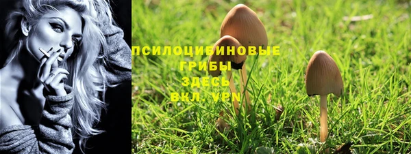 прущий лед Бугульма